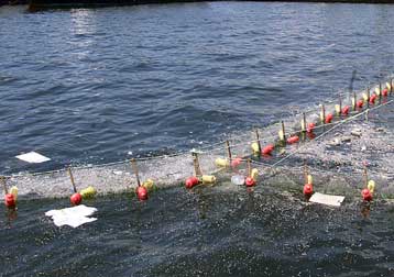 Ελευσίνα και Πάτρα μεταξύ των 37 πόλεων που δεν διαθέτουν τα απαραίτητα έργα