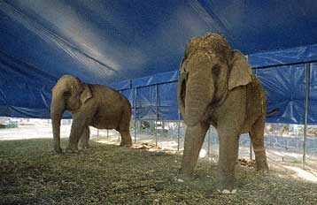 Σεισμικά κύματα επιτρέπουν την ανταλλαγή μηνυμάτων από απόσταση 30χλμ.