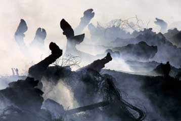 Αντιδράσεις για τη θανάτωση υγιών ζώων στη μάχη κατά του αφθώδους