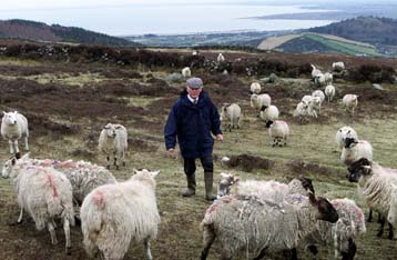 Εξονυχιστικό έλεγχο σε στρατιώτες του ΝΑΤΟ και τουρίστες ανακοινώνει το υπουργείο Γεωργίας