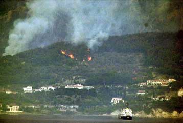 Έκαψε 20 στρέμματα πριν τεθεί υπό έλεγχο