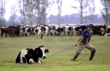 Σε 400 εκατ. δολάρια θα ανέλθουν οι ζημιές για την ΕΕ