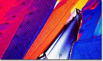 Τα μπρόκολα και το αντιθρομβωτικό φάρμακο Heparin τα νέα «όπλα» της επιστήμης