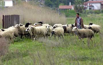 Λήγει την Πέμπτη η προθεσμία υποβολής των αιτήσεων