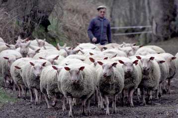 Έκπληκτοι δηλώνουν οι επιστήμονες για το ρυθμό μετάδοσης της ασθένειας