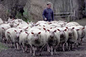 Η κρίση θα διαρκέσει για πολύ καιρό ακόμη, δηλώνουν οι βρετανικές Αρχές