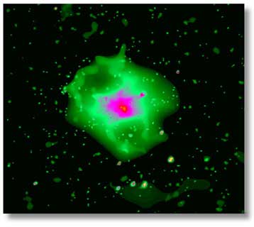 Εκπληκτικές λεπτομέρειες ενός συμπαγούς σμήνους γαλαξιών