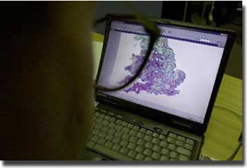 Κάτω τα χέρια από τη… «Γυμνή Σύζυγο»