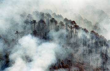 Ολοκληρώνεται εντός Μαρτίου ο Εθνικός και Περιφερειακός Σχεδιασμός για τις φωτιές