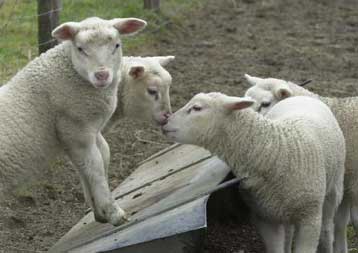 Η IAAF παίρνει από το Δουβλίνο τη διοργάνωση