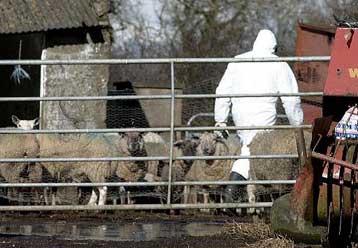 Φόβοι για εξάπλωση της ασθένειας και στην Ιρλανδία
