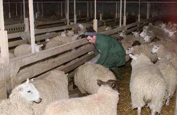 Τουλάχιστον δύο τα κρούσματα στη Σκοτία – Ανησυχεί η Ευρώπη