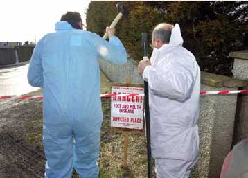 «Ταξίδεψε» στη Βόρεια Ιρλανδία, όπου βρέθηκαν μολυσμένα ζώα