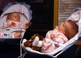 Υπόλογος στο ιταλικό ιατρικό συμβούλιο ο Αντινόρι για την κλωνοποίηση