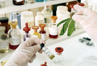 Οι Λόρδοι υπέρ της νομιμοποίησης της κάνναβης για θεραπευτικούς σκοπούς