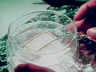 Νέες οδηγίες για τα τεστ πατρότητας στη Βρετανία