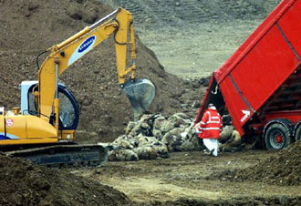 Παράταση στο εμπάργκο κρεάτων κατά της Βρετανίας ανακοίνωσε η ΕΕ