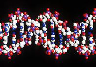 «Οι γονιδιακές θεραπείες δεν είναι πανάκεια»