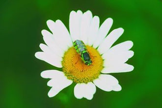 Αντιμετωπίστε τις αλλεργίες της άνοιξης…