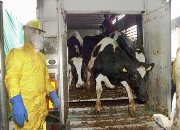 Ο απόηχος της κρίσης των «τρελών αγελάδων» στη σύνοδο των υπουργών Γεωργίας της ΕΕ