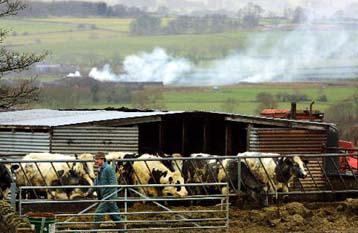 Πιθανή εμφάνιση της νόσου σε άνθρωπο ερευνούν οι βρετανικές Αρχές