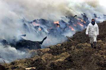 Η καύση νεκρών ζώων «απελευθερώνει τεράστιες ποσότητες ρύπων»