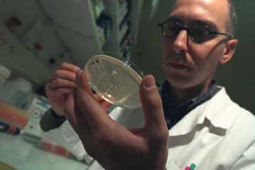 Ερευνητές «ανασταίνουν» αποξηραμένα ανθρώπινα κύτταρα