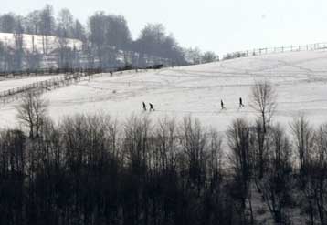 Νεκροί τέσσερις λαθρομετανάστες στο όρος Μπέλες