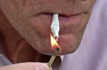 Ουσίες με ιδιότητες παρόμοιες με της κάνναβης διεγείρουν το αίσθημα της όρεξης