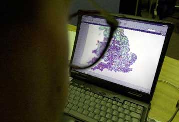 Ελλιπή παραμένουν τα επίπεδα ασφάλειας στους κρατικούς δικτυακούς τόπους