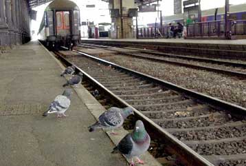 Ακινητοποιημένα επί έβδομη ημέρα τα γαλλικά τρένα