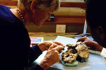 Καταγόμαστε και από τον άνθρωπο του Νεάντερταλ, υποστηρίζει νέα έρευνα