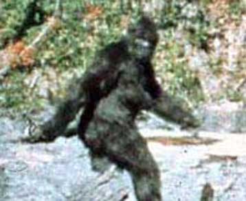 Αγνωστο δείγμα DNA «φωτογραφίζει» το μυθικό χιονάνθρωπο των Ιμαλαΐων