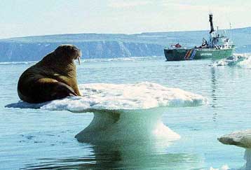 Εξέχουσες προσωπικότητες ζητούν από τις ΗΠΑ μέτρα για το φαινόμενο του θερμοκηπίου