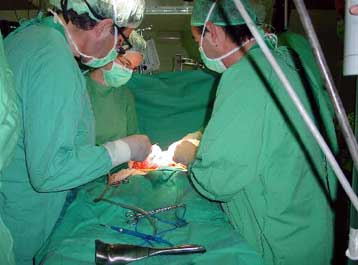 Βλαστικά κύτταρα ενηλίκων αποκαθιστούν βλάβες του μυοκαρδίου