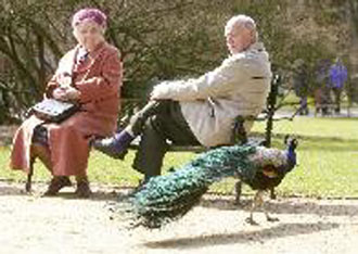 Διαψεύσεις για οφειλές από το διοικητή του ΟΓΑ