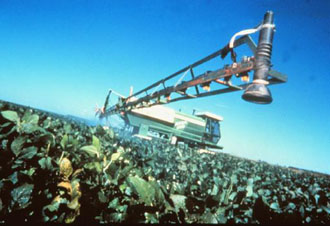 Η σόγια όπλο κατά της νόσου Αλτσχάιμερ;