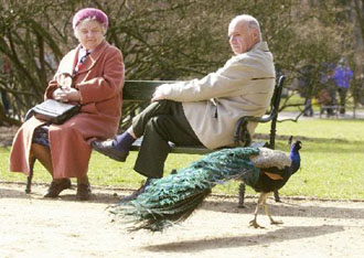 Οι έξυπνοι άνθρωποι ζουν περισσότερο;