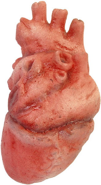 Ελπίδες για «ραγισμένες καρδιές» από βλαστικά κύτταρα