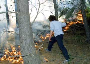 Ένας νεκρός από τη μεγάλη φωτιά σε δασική περιοχή των Μεθάνων