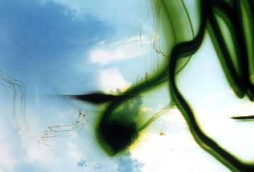 Τέσσερις προσωπικότητες διεκδικούν το Βραβείο Τέρνερ 2001