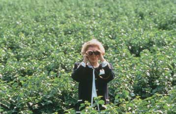 Κορόνες Θάτσερ κατά της υιοθέτησης του ενιαίου νομίσματος από τη Βρετανία