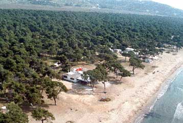 Προσφυγή για το Σχοινιά κατέθεσαν οικολόγοι και η Αρχαιολογική Εταιρεία