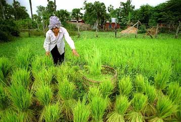 Για απληστία κατηγορούνται οι εταιρείες βιοτεχνολογίας