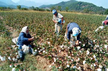 Κατά 5.000 δρχ. υψηλότερες οι συντάξεις του ΟΓΑ από το 2002