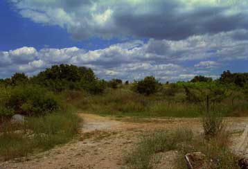 Τρεις λαθρομετανάστες νεκροί σε ναρκοπέδιο του Έβρου