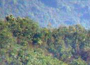 Πόρισμα «δείχνει» σωρεία παρανομιών στις επιδοτήσεις για αγρανάπαυση