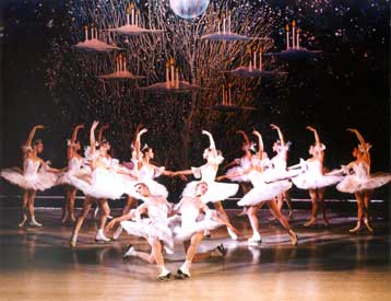 Η <I>Λίμνη των Κύκνων</I> από τα Μπαλέτα Πάγου της Αγίας Πετρούπολης