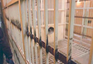 Συμπλοκή κρατουμένων με ένα νεκρό στην Πάτρα