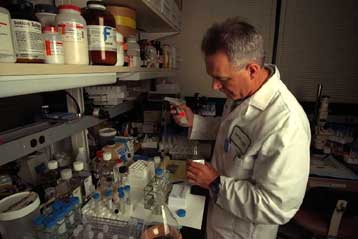 Ολοδύναμα βλαστικά κύτταρα εντοπίστηκαν σε ενήλικα πειραματόζωα